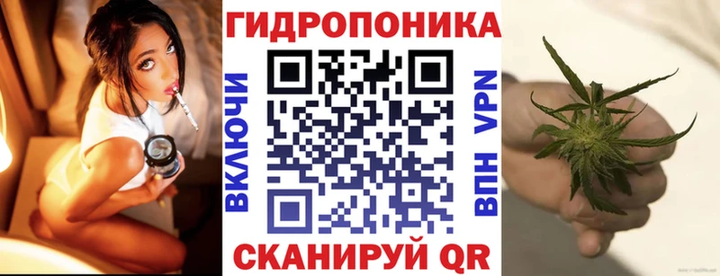 OMG вход  Чаплыгин  Бошки марихуана White Widow 